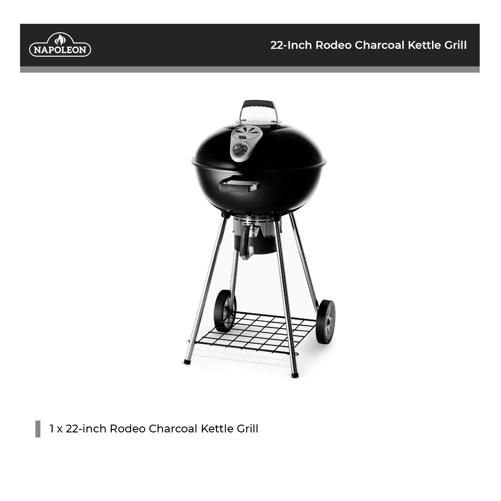 Napoleon Rodeo Charcoal Leg - NK22K-LEG-2